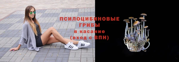 гидра Бронницы