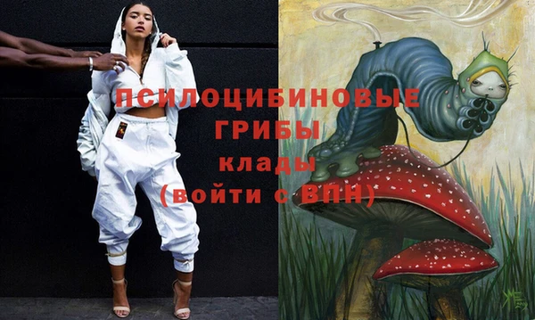 гидра Бронницы