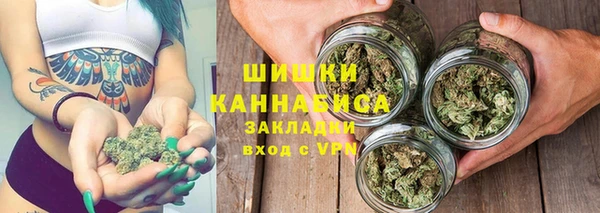 гидра Бронницы